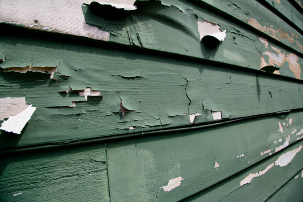 Best Residential Junk Removal  in Wahese, NC